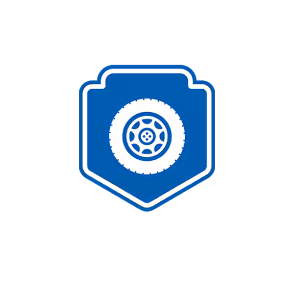 Visual Inspection of Every Vehicle